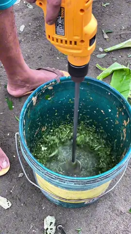 Pisau pencacah pakan ternak ayam entok bebek sayuran #pisaupencacah #alatpencacahpakan #pencacahpakanternak 