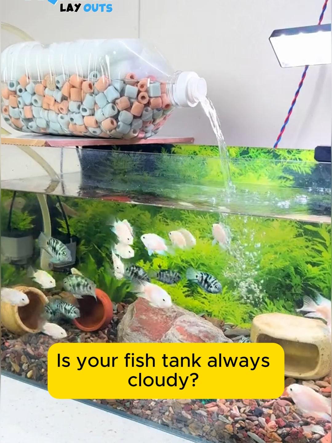 30s filter DIY with me#aquarium #viral #fishing #layout #reels #fishlover #aqualover #aquaX #foryou #aquascape #fishtanks #aqualayout #aquariumfish #fishtank