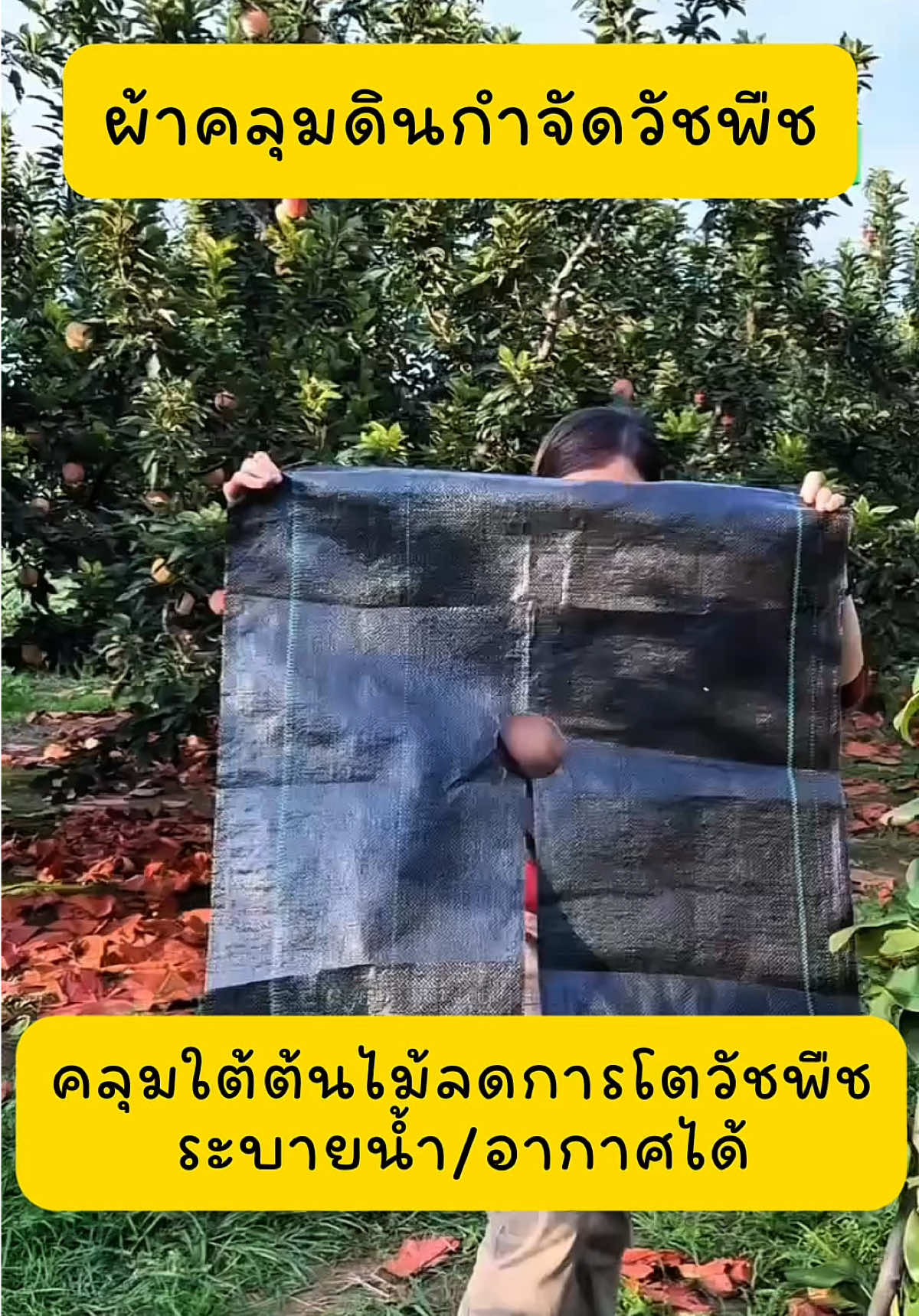 ผ้าคลุมกำจัดวัชพืช คลุมดินกันหญ้า #ครีเอเตอร์tiktokshop #ครีเอเตอร์tiktok #ผ้าคลุมวัชพืช #ผ้าคลุมดิน #ผ้าคลุมวัชพืชน้ําซึมผ่านได้ 