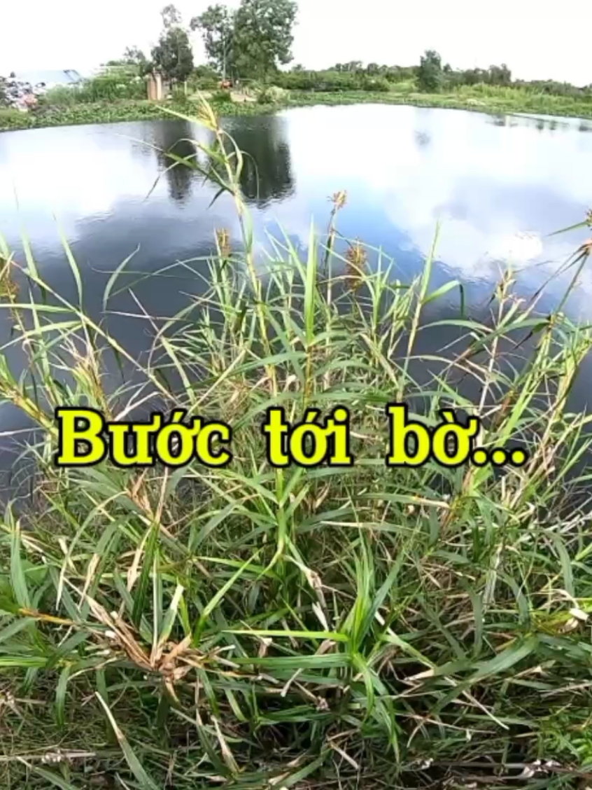 Chuyện bờ kênh... #vinhlocvlog #Vinhloclamtho #caylap #xuhuong #xuhuongtiktok 
