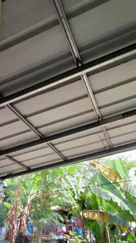50%