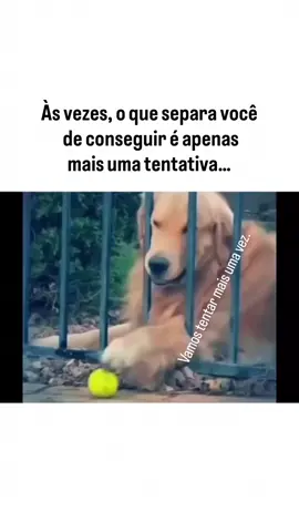 #foy #viral #respect #tenteoutravez  não desista 🫰