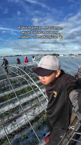 Life of a Tomato Farmer in Japan 🇵🇭🇯🇵 #Ganbare  #foryouシpage  #fypシ゚  #teamjaes  #fyp  