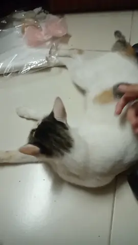 #Denny