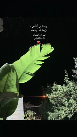 #الحمدالله_علی_کل_حال❤ #fffffffffffyyyyyyyyyyypppppppppppp #بيرزيت #اكسبلورexplore #جامعةبيرزيت 