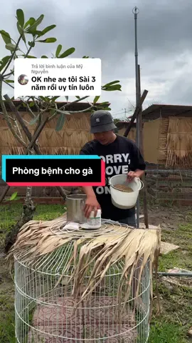 Trả lời @Mỹ Nguyễn êm nha anh em #tinfarm @Tinfarm shop 