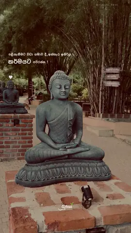 කර්මය විශ්වාස කරන්න 🤍! #nuriyo_page #viral_video #foryoupagе #whatsappstatus #trendingvideo 