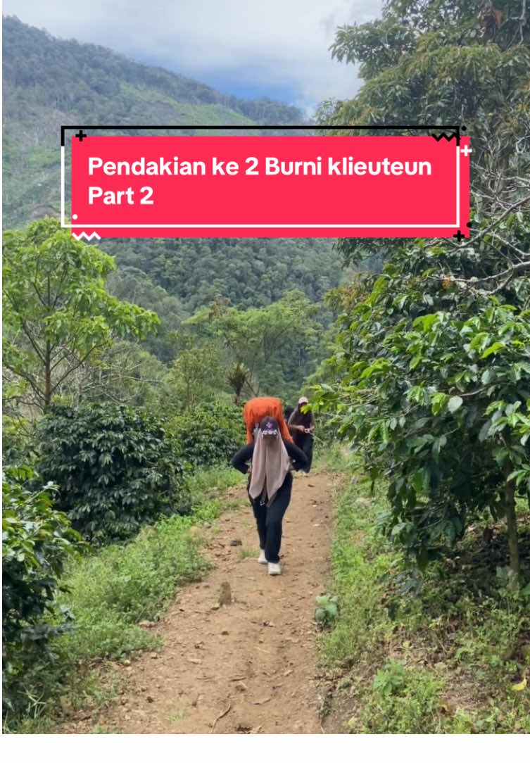 Part 2 pendakian Burni klieuteun  #explore #adventure #cewegunung⛰ #petualangcantik #fyp 