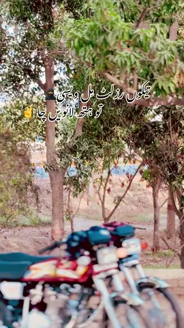 #سنگت_ویڈیو_وائرل_کریسو_آپ_ہیں🥀🌼🙈✨🎇 #viralvideos #repost #foryoupage❤️❤️ @S A R K A R🤐🥷 @ملنگ🤦 @ملنگ دا ہنڈا🤦 