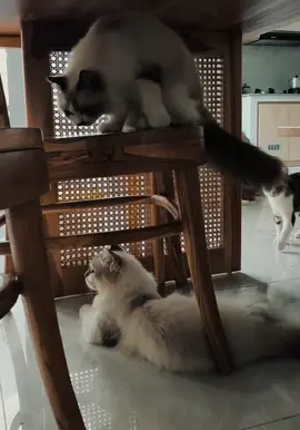 rezeki mengalir deras berkah barokah. aamiin