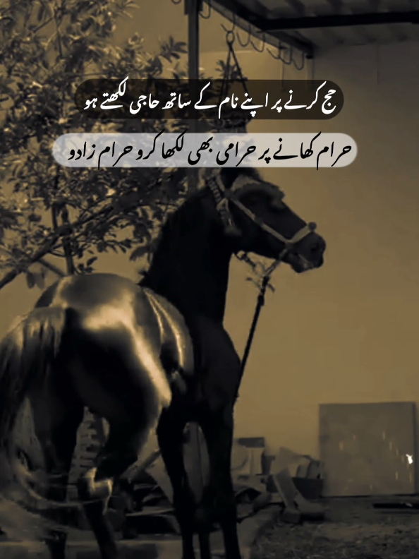 #fyp #foryou #viral #lines #badkhanu 