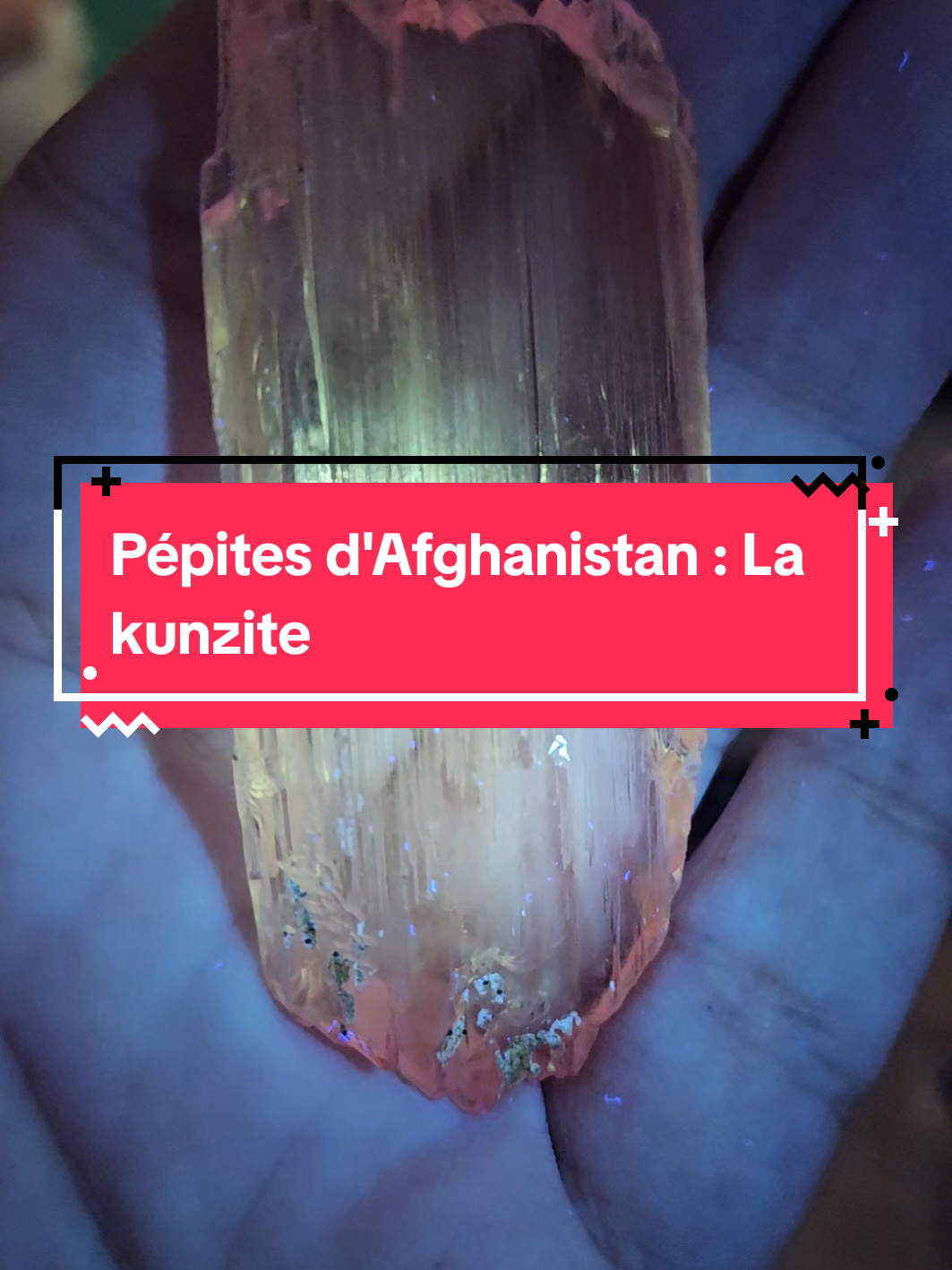 ✨ La Kunzite – la pierre du cœur et de l’apaisement ✨ Rare et lumineuse, la kunzite séduit par son éclat rose violacé 💜. Véritable alliée du chakra du cœur, elle aide à libérer les émotions, apaiser le stress et attirer l’amour inconditionnel 💞. 🔥 Découvre en direct des spécimens uniques de kunzite ce week-end lors de mon TikTok Live ! Un moment parfait pour enrichir ta collection avec des minéraux d’exception. #kunzite #pierresnaturelles #mineraux #cristaux #lithotherapie 