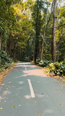 Jl gunung karang #pandeglang#banten 