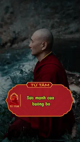 Sức mạnh của buông bỏ. #tutam #lienhoa #phatphap #phatphapnhiemmau #xuhuong @Liên Hoa Việt Nam 