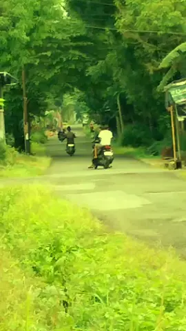 #mieayamsarirasagombongwarungpring 
