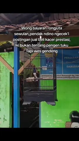 jan wes Gendeng tenan🗿 #trend #fyp #hobykicau #hitamputih #kacermania 