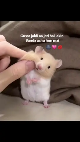 bss ap ki 🎀ais kai le #foryou #unfrezzmyaccount #1millionaudition #fyppppppppppppppppppppppp #standwithkashmir 
