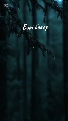 #бәрібекер😌 