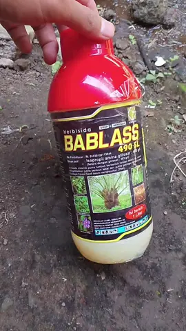 herbisida bablass solusi para petani yang ngk mau ribet sama gulma #bablass #herbisida #obatgulma #herbisidasistemik