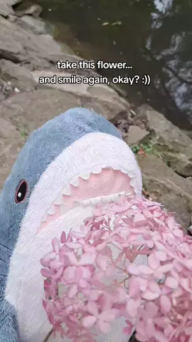 🌼 🌸 🌻 🌹 🏵  #flower #SmileStrong #sharkthoughts  it's for you, @masonfurzeland173 , because you're awesome! :D