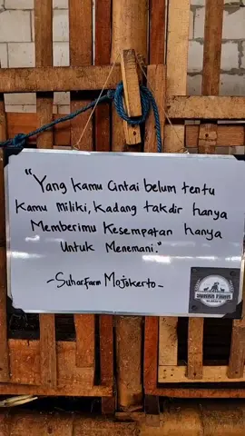 kalah karo takdirr🫠 #liriklagu #liriklagujawa #lagujowo #lagujawa #xybca #katakataberanda #jowokuciwo #katakatajawa #jawacidro #jawasedih #suharfarmmojokerto #mojokerto24jam #fyp 