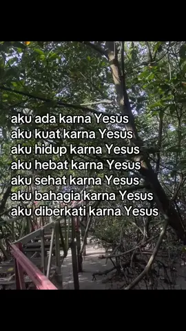#jesuschrist #kristenprotestan #berandatiktok #4u #creatorsearchinsights 