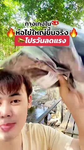 #gq #gqapparel  #gqeveryday #gqminimalshorts #gqminimalpolo              ผอม    ยืดลดกลิ่น    อับ                                              และ         %  %บนTikTokShop          และ                             