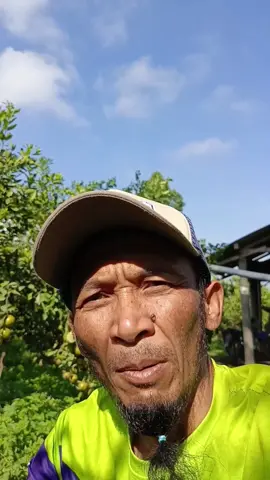 #lucu #poncokusumo #jeruksiemmadumalang #foryoupage #soundviral 