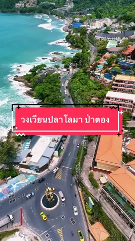 วงเวียนปลาโลมา  #ป่าตองภูเก็ต #phuket #phuketthailand🇹🇭 