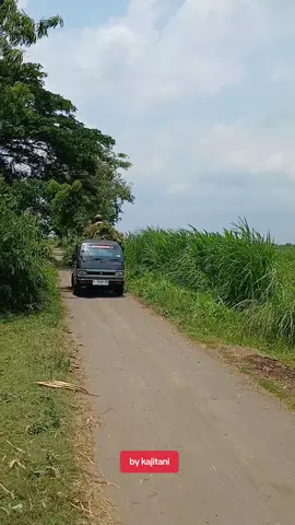 indonesian farmers #wongtani #panen #fyp #petani #petaniindonesia🇮🇩🇮🇩🇮🇩🌿🌿 