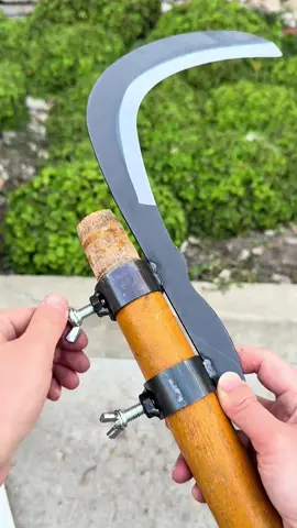 Cắt cành dọn cỏ khoẻ re