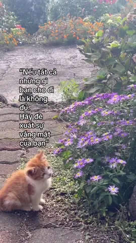 #fyp #xh 