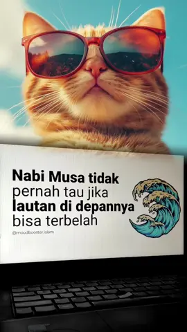 #CapCut #fyppppppppppppppppppppp #abahkoeradio #radiotiktok #catlover 