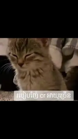 សើចអត់