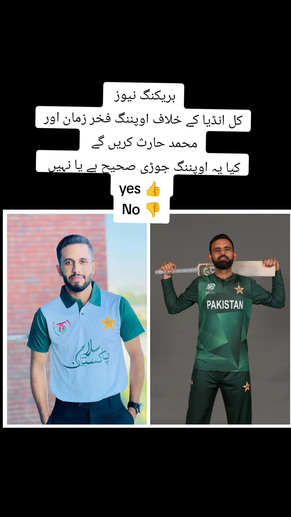 cricket fans ❤️