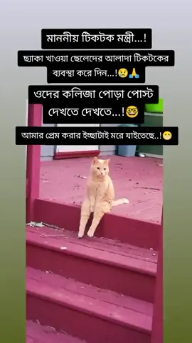 ফানি ভিডিও 😜😜😜🤣🤣🤣🤣🤣foryou#viraltiktok #foryoupage #fbyツ #ফরইউতে_দেখতে_চাই 