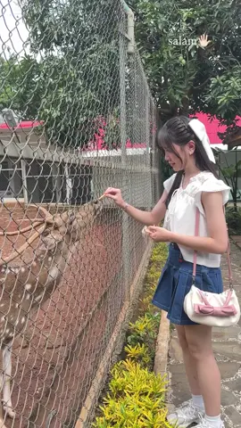 kelinci ngasih makan rusa😄 #graciejkt48 #graceoctaviani #jkt48 #fyp 