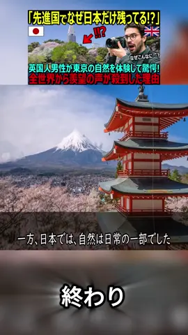 【海外の反応】「先進国なのになぜこんなに自然が残っているんだ⁉︎」日本の自然を体験したイギリス人男性が驚愕…全世界から羨望の声が殺到した理由【日本賞賛】P3