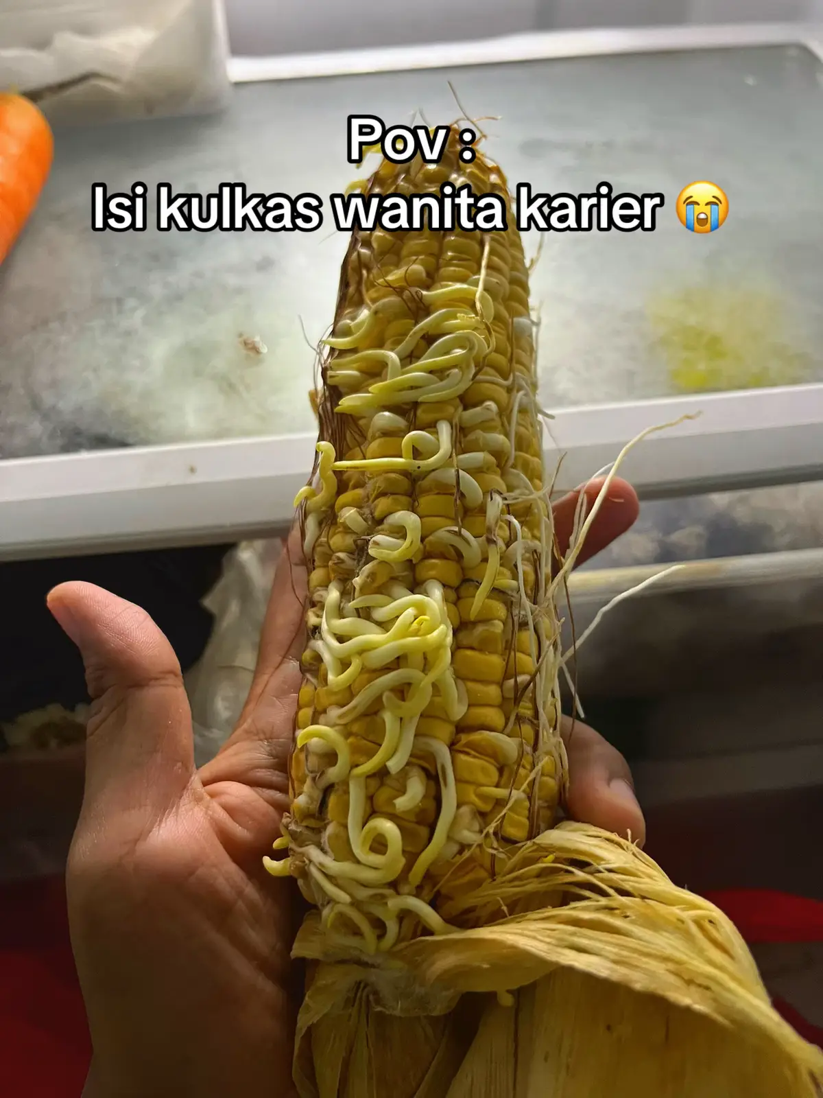 Sungguh penuh kejutan, banyak bibit bibit unggul tumbuh subur dalam kulkasku. Perasaan tiap hari masak 🤪. Ada yang pernah ngalamin ?? 😂 #isikulkas #wanitakarir #ibubekerja #fyp #ibubahagia