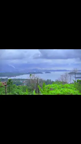 Puncak bete-bete🫶#bahodopi #morowali_sulteng #puncakbetebetemorowali 