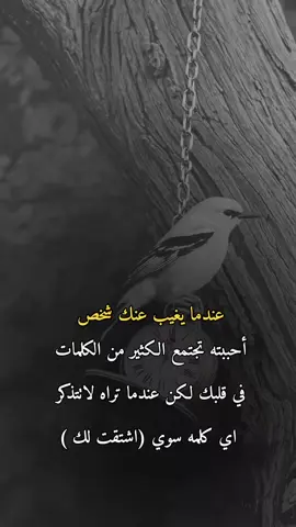 #عبارات_حزينه💔 #explore #😔💔🥀 #مهموم_وحداني🥀 #تصميم_فيديوهات🎶🎤🎬 
