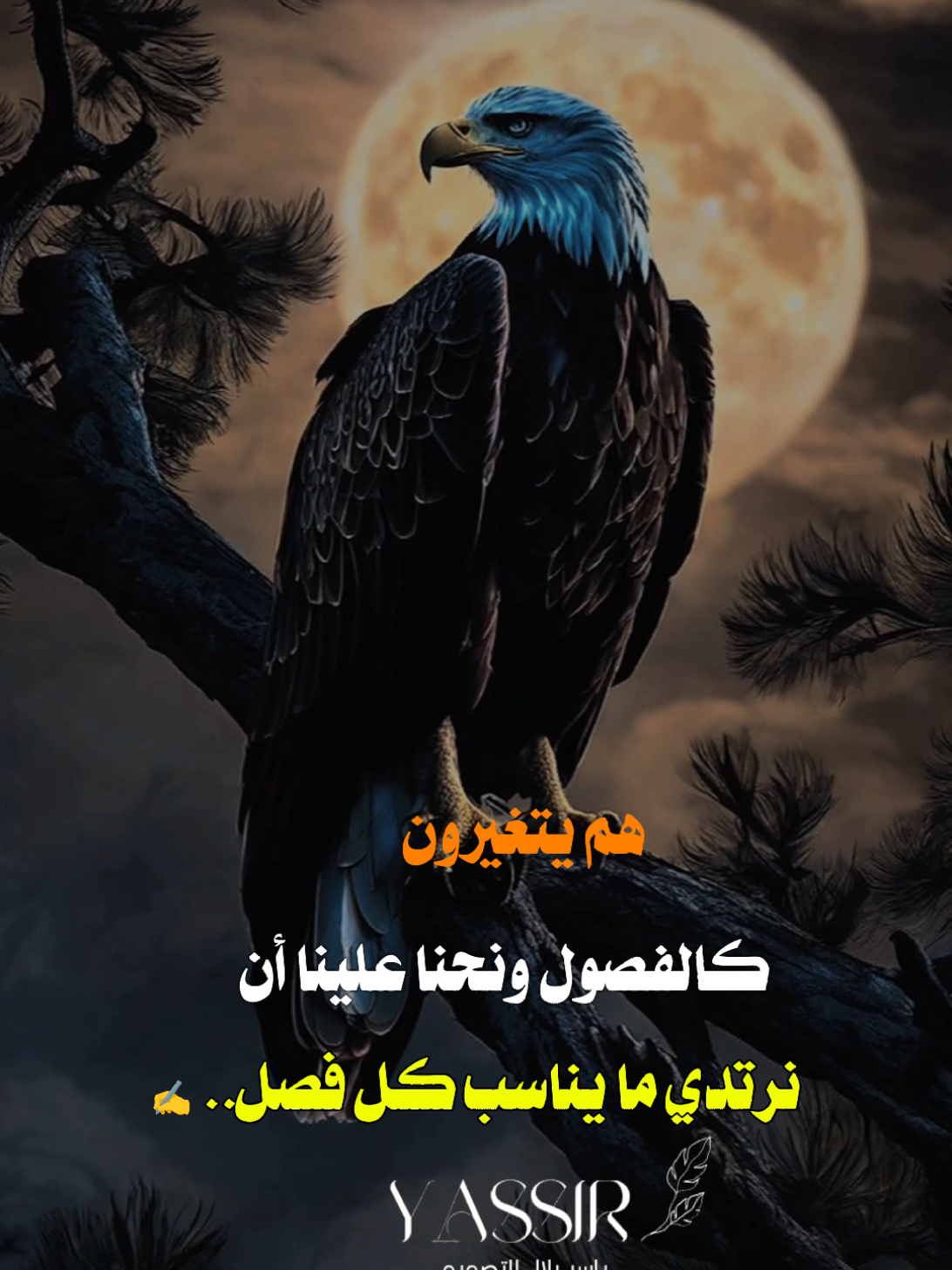 #خواطر_سودانية🇸🇩💜 #فلسفة_الفقراء🎩 #الخذلان_ياتي_من_الكل💔🥀 #مصمم_فيديوهات🎬🎵 