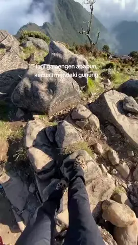 setiap gunung tidak berjanji memberikan keindahan, tapi setiap gunung pasti memberikan makna di setiap perjalanan