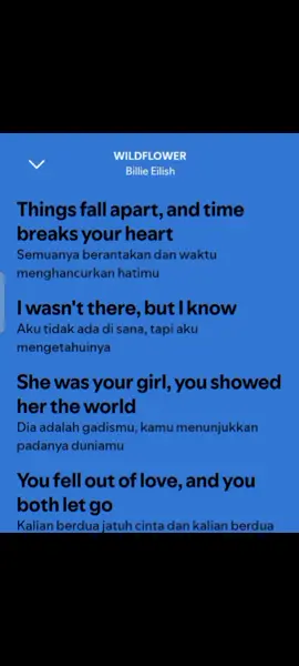 WILDFLOWER-bilie elis full lirik & terjemahan #wildflower #bilieeilish  #liriklagu #music #fyp 