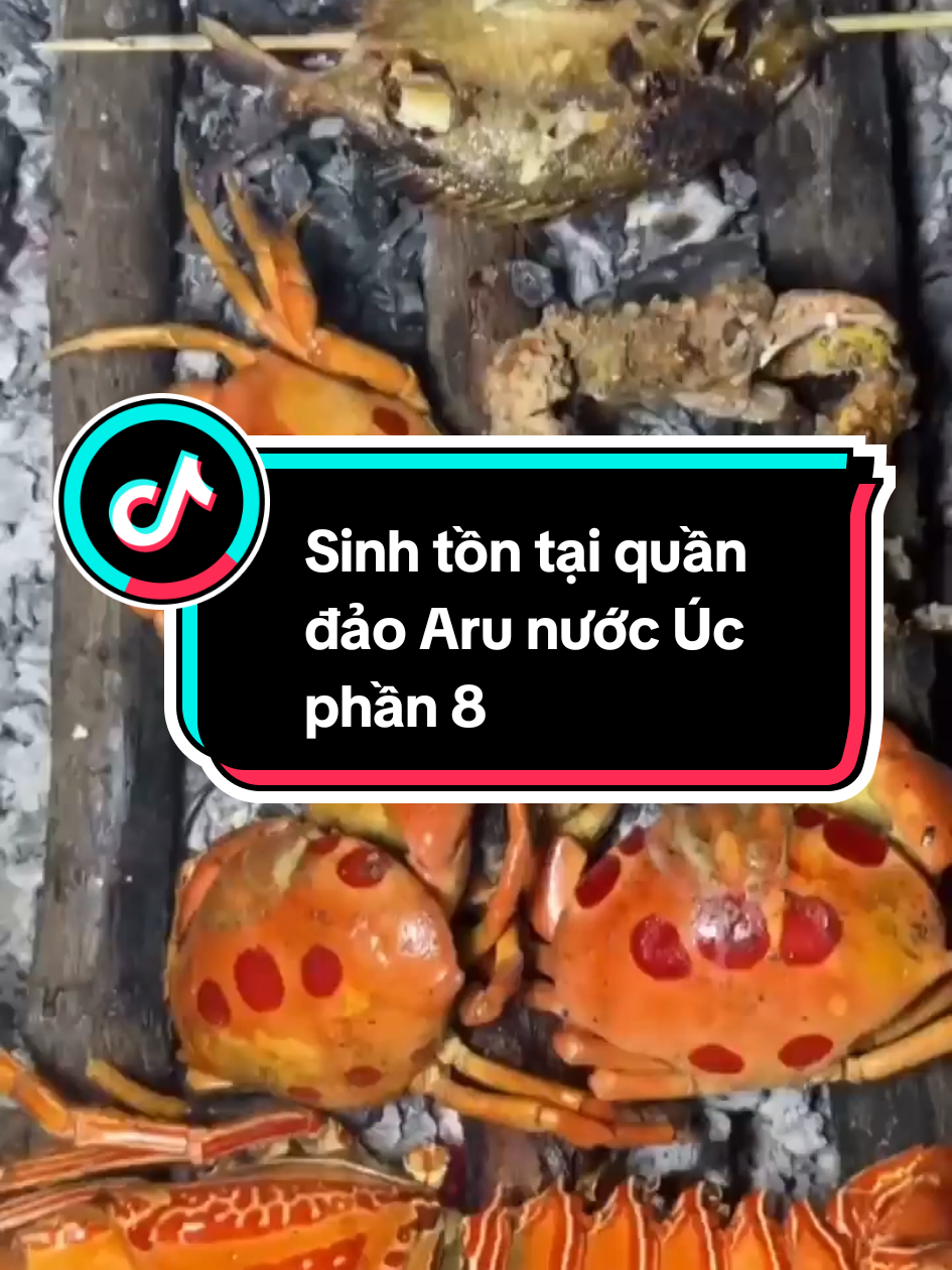 Sinh tồn tại quần đảo Aru nước Úc Phần 8 #rakhoisinhton #xuhuongtiktok 