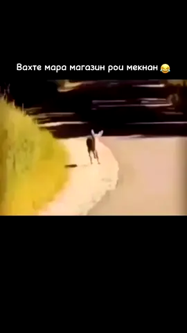 #😅😅😅 