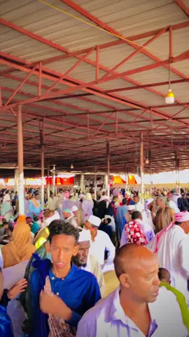 Ijtimaac Hargeysa #foryoupage #lanadelrey #somalitiktok #foryou 