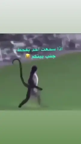 #tiktok #fyppppppppppppppppppppppp #foryou #explore #foryoupage 
