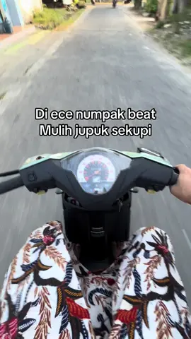 Suwun wes ngece🙏🏻