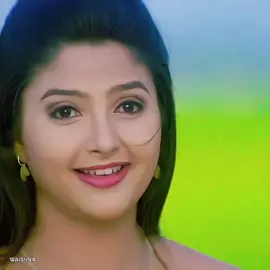🥀✨🥀✨🥀 #anbaeanbae #singerhariharan #sadhanasargam #anbeanbe #fyp 